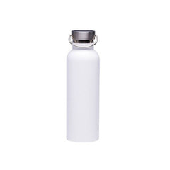 Stainless Steel Sports Water Bottle Insulated Leak Proof Gym