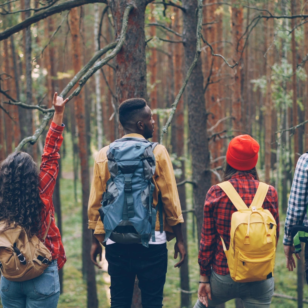 Group of people hiking in a forest with backpacks